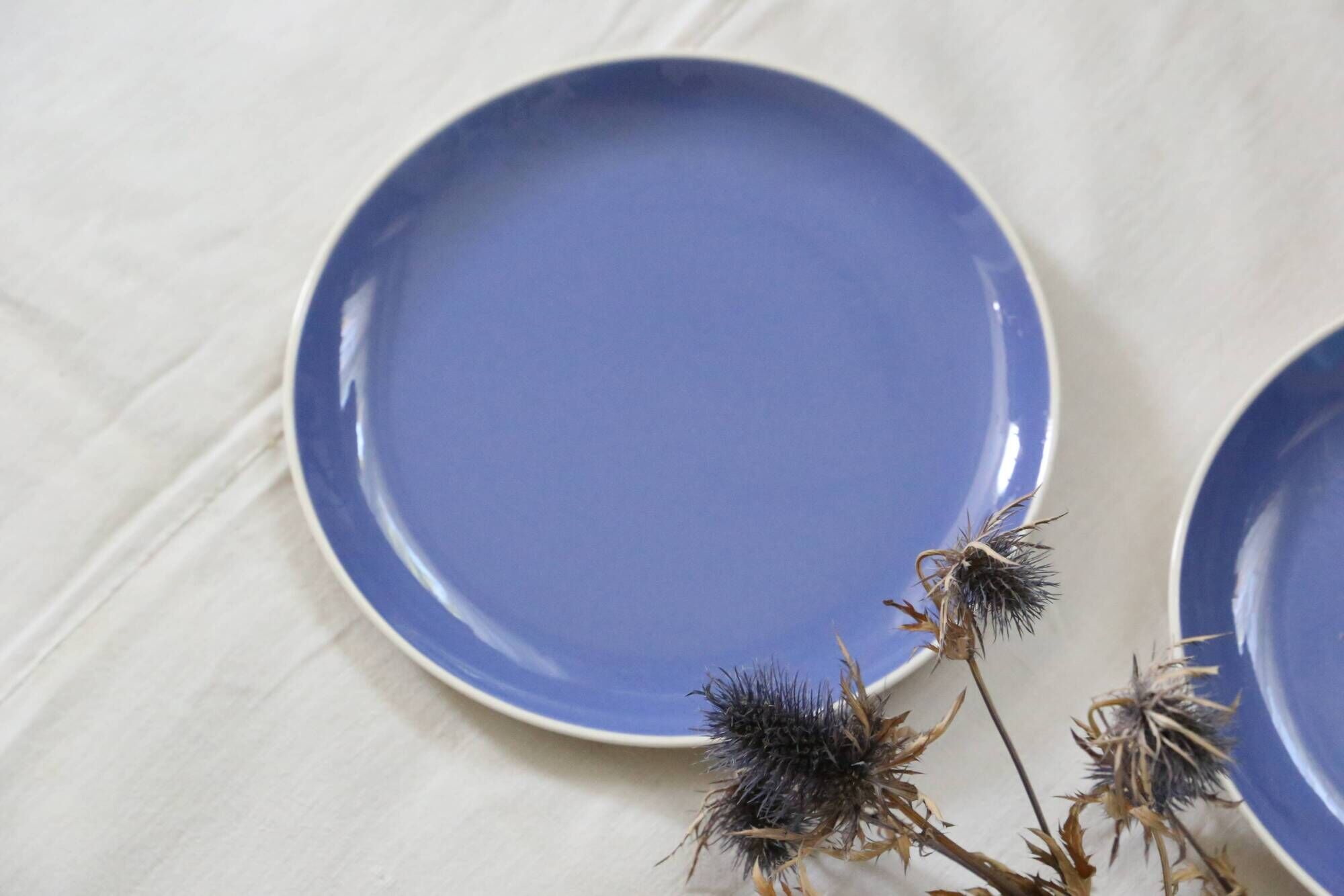 Duo of blue dessert plates, SAAR, Villeroy and Boch model, vintage