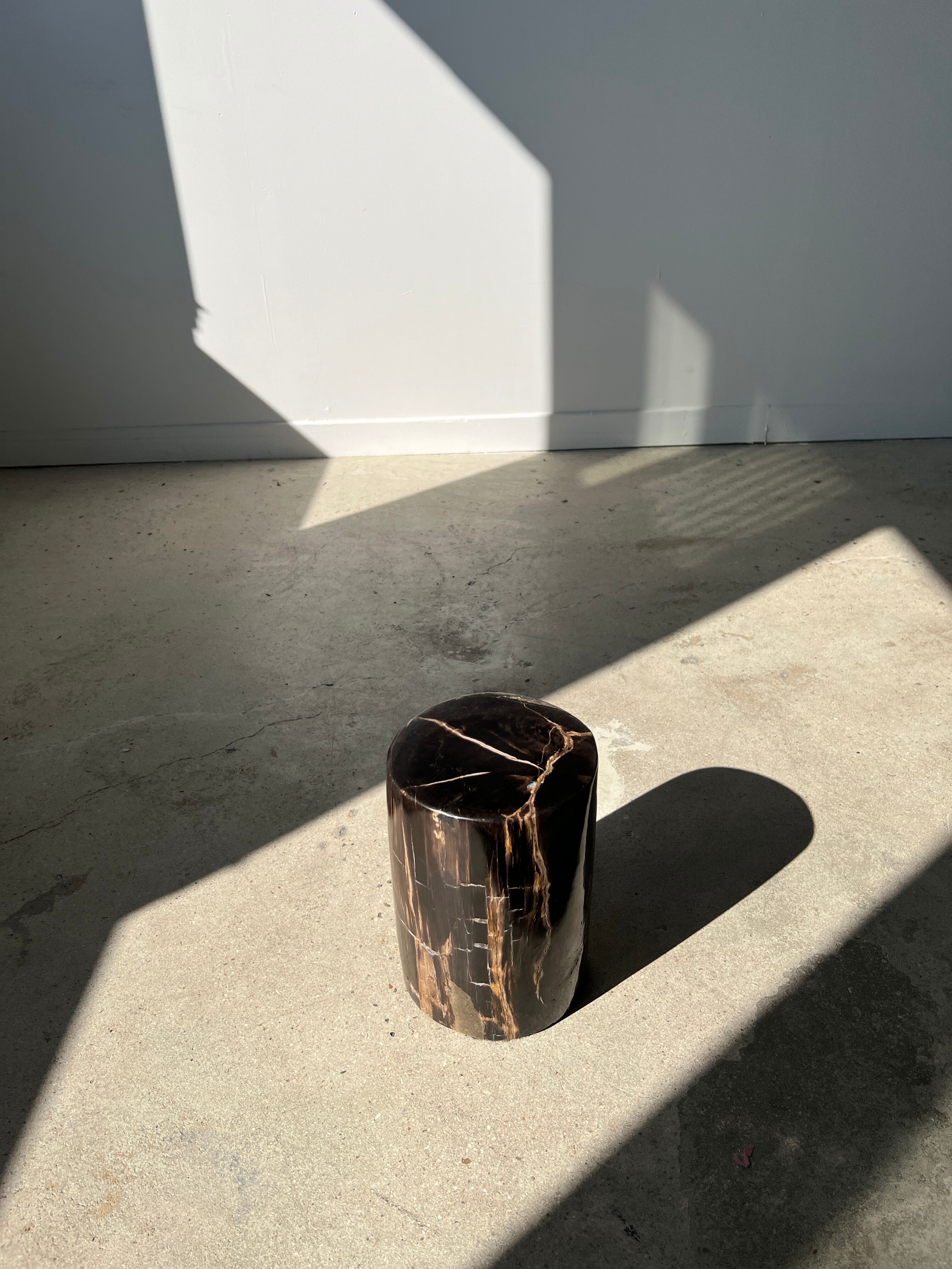 Side table in black petrified wood with light streaks h: 27,5cm d:18,5cm