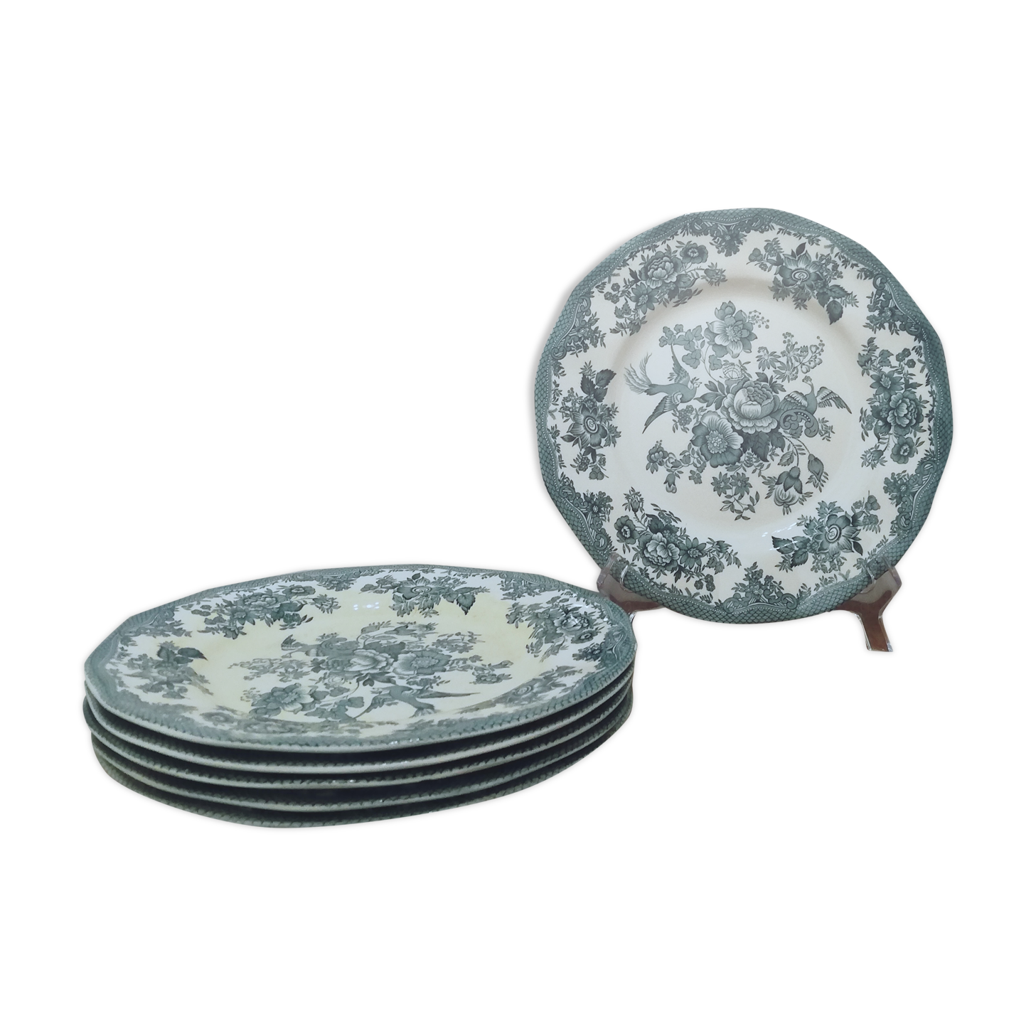 6 earthenware plates Enoch Wedgewood décor "asiatic pheasants"