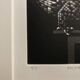 Mario avati (1921-2009), alligator, black and white, 1970