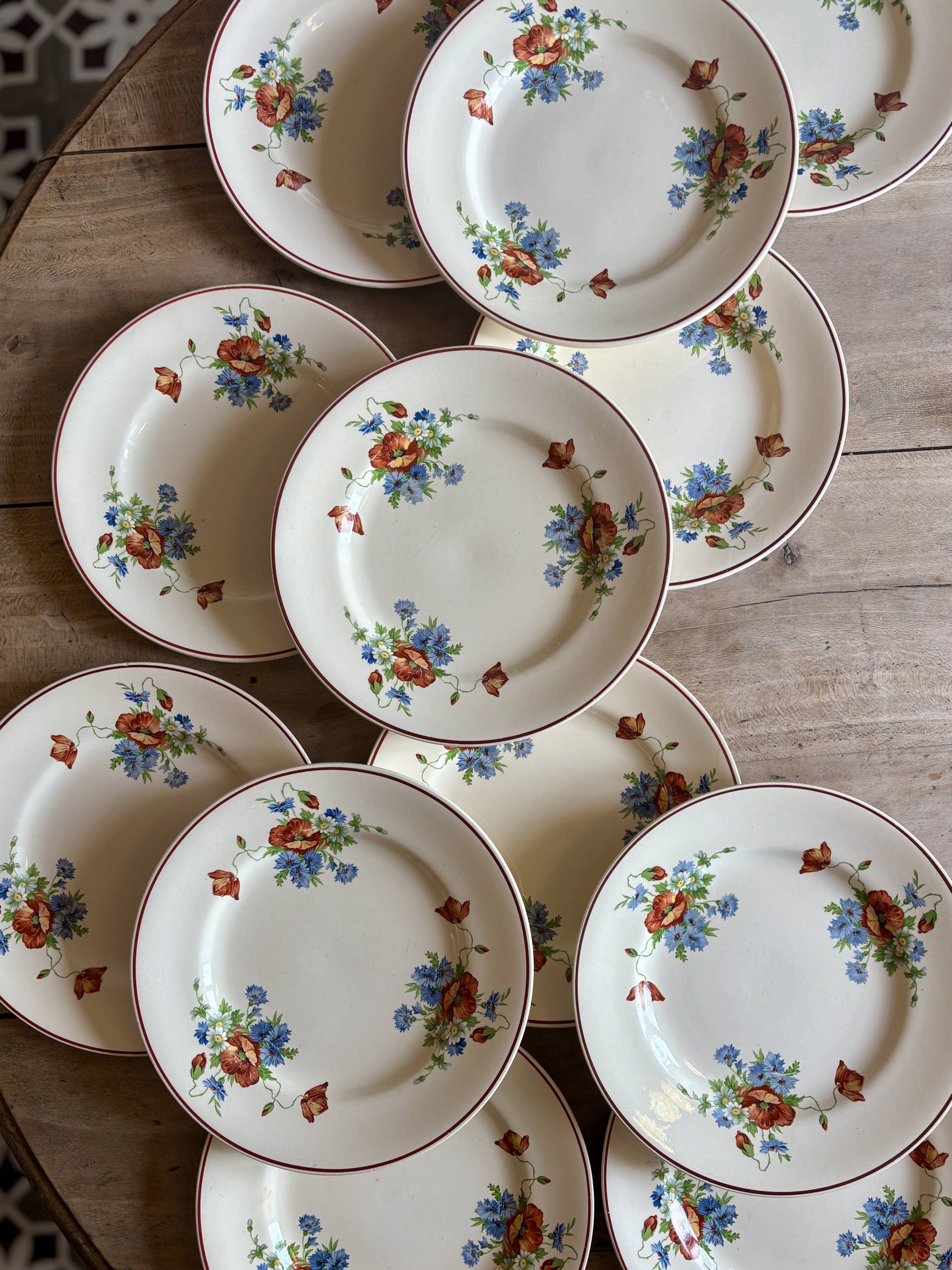 Set of 12 old flat plates with flower decorations - Salins