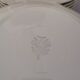 Set of 6 Villeroy and Boch flat plates in ivory color and gold edging