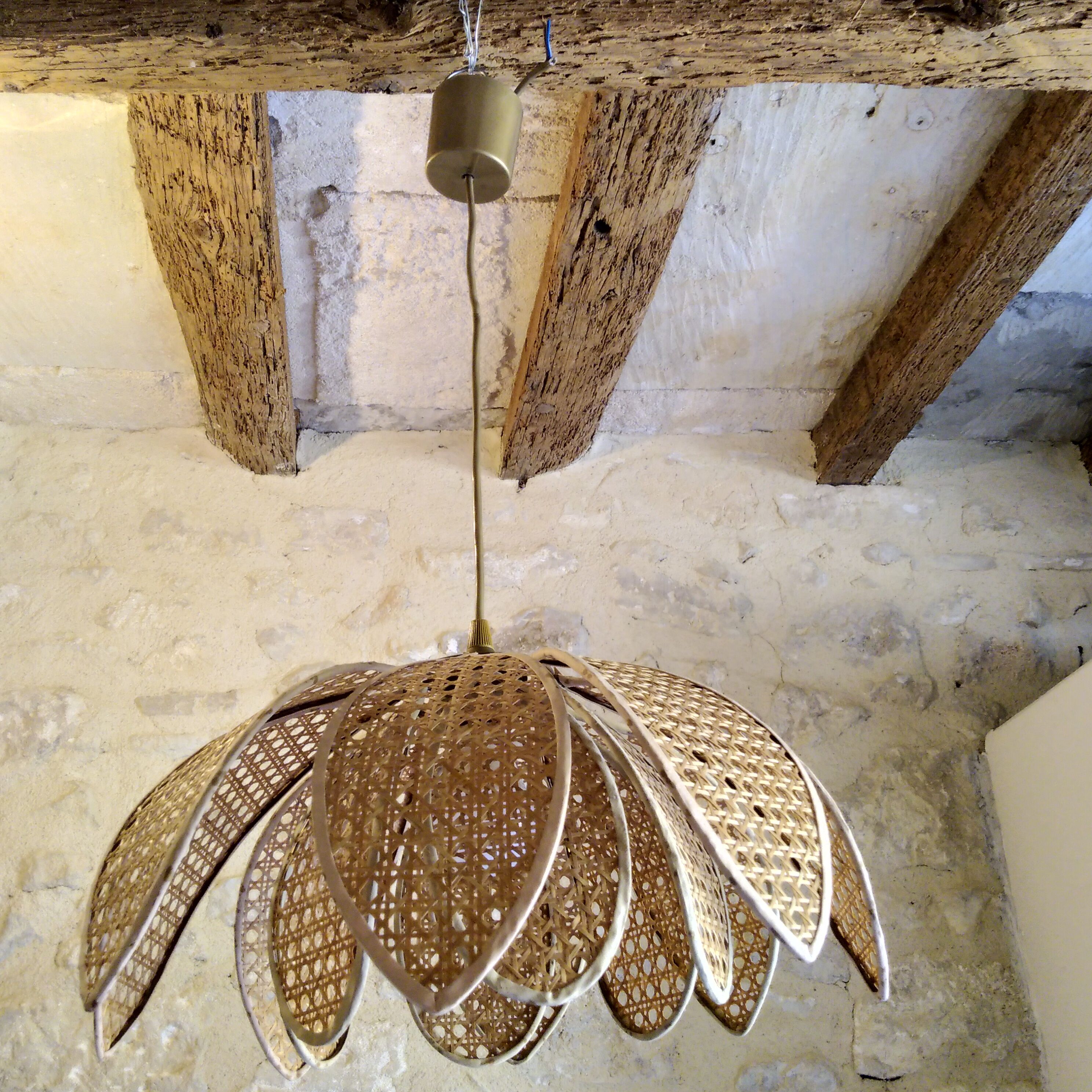 Lotus suspension in vintage cannage