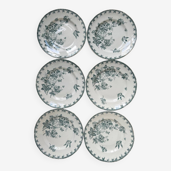 Series of 6 old flat plates “Terre de Fer”