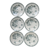 Series of 6 old flat plates “Terre de Fer”