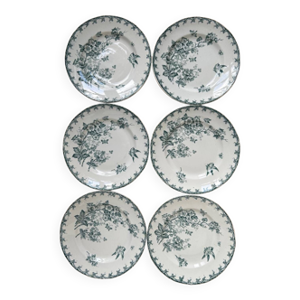 Series of 6 old flat plates “Terre de Fer”