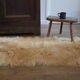 Animal skin