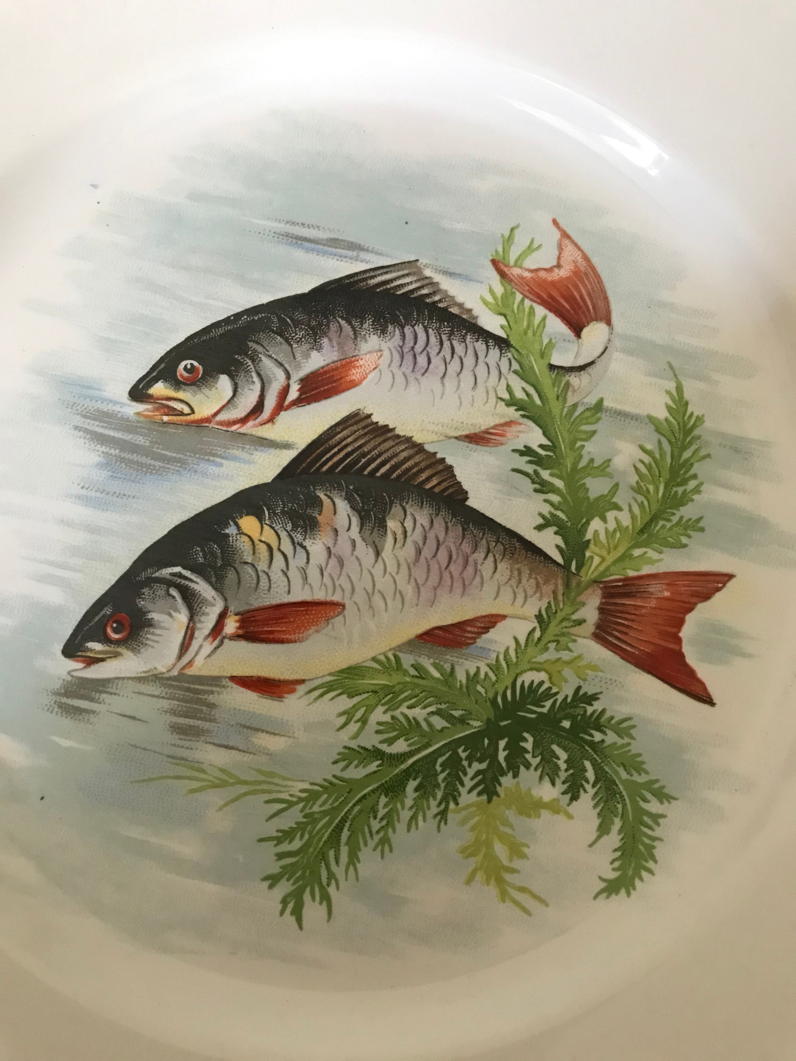 12 Digoin plates - Sarreguemines