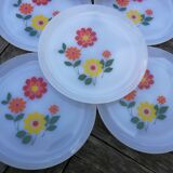 Lot de 8 assiettes plates Arcopal à fleurs