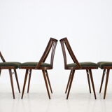 Lot de 4 chaises conçues par Antonín Šuman