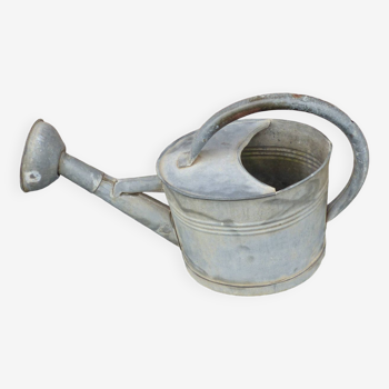 Zinc watering can with its apple