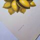 Vintage illustration - Plant with golden fruits by Merian. Antique plate