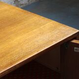 Storage cabinet 2 doors 1960 SWISS TEAK