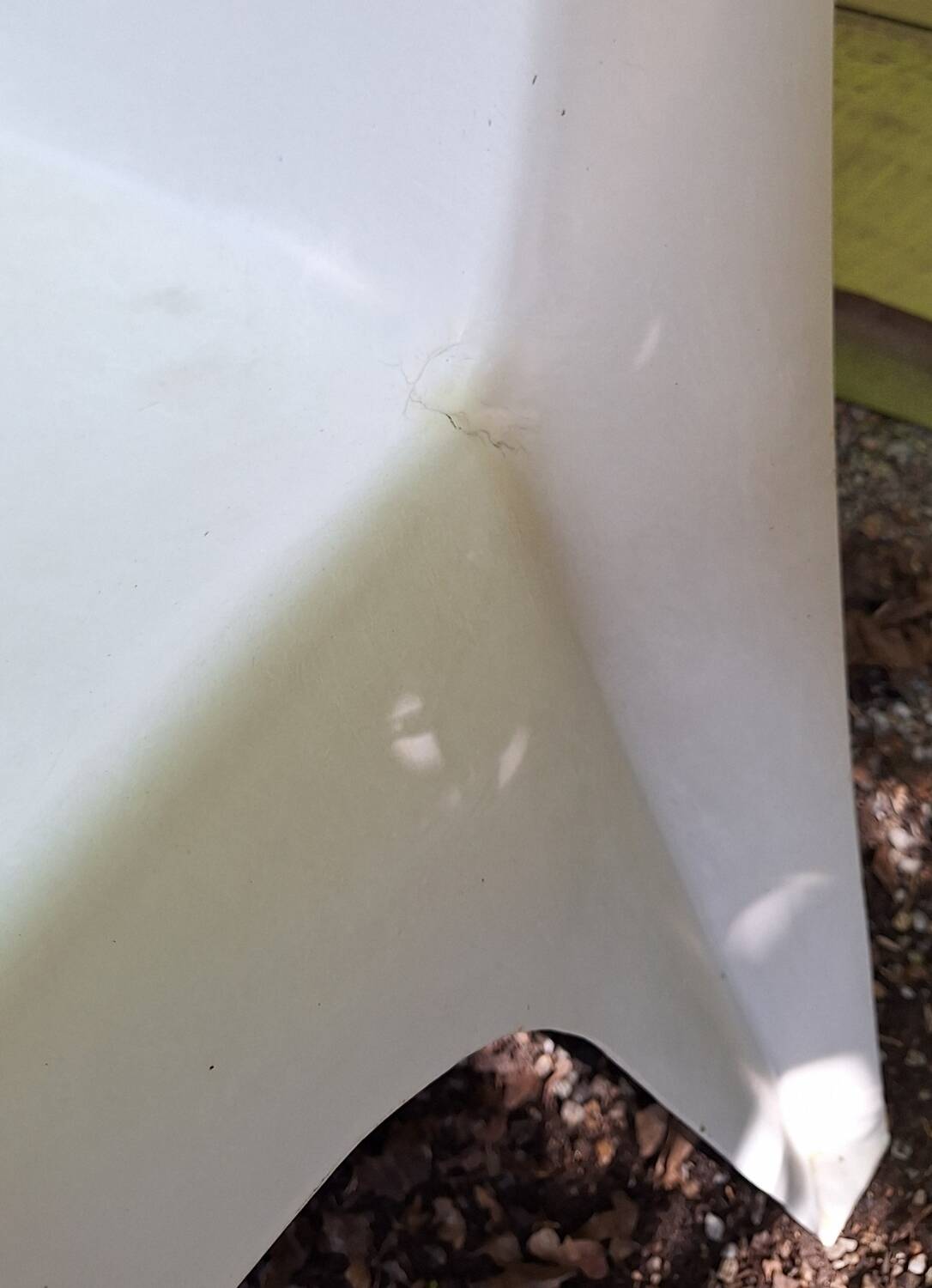 Pair of Helmut Batzner chairs for Bofinger