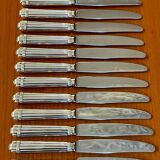 Christofle aria 12 dessert knives new condition