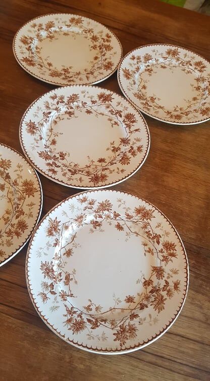 Set of 5 plates in Terre de Fer Creil & Montereau model Mignardise