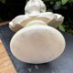 Alabaster bust of a woman signed Arnaldo Giannelli dated 1980.
