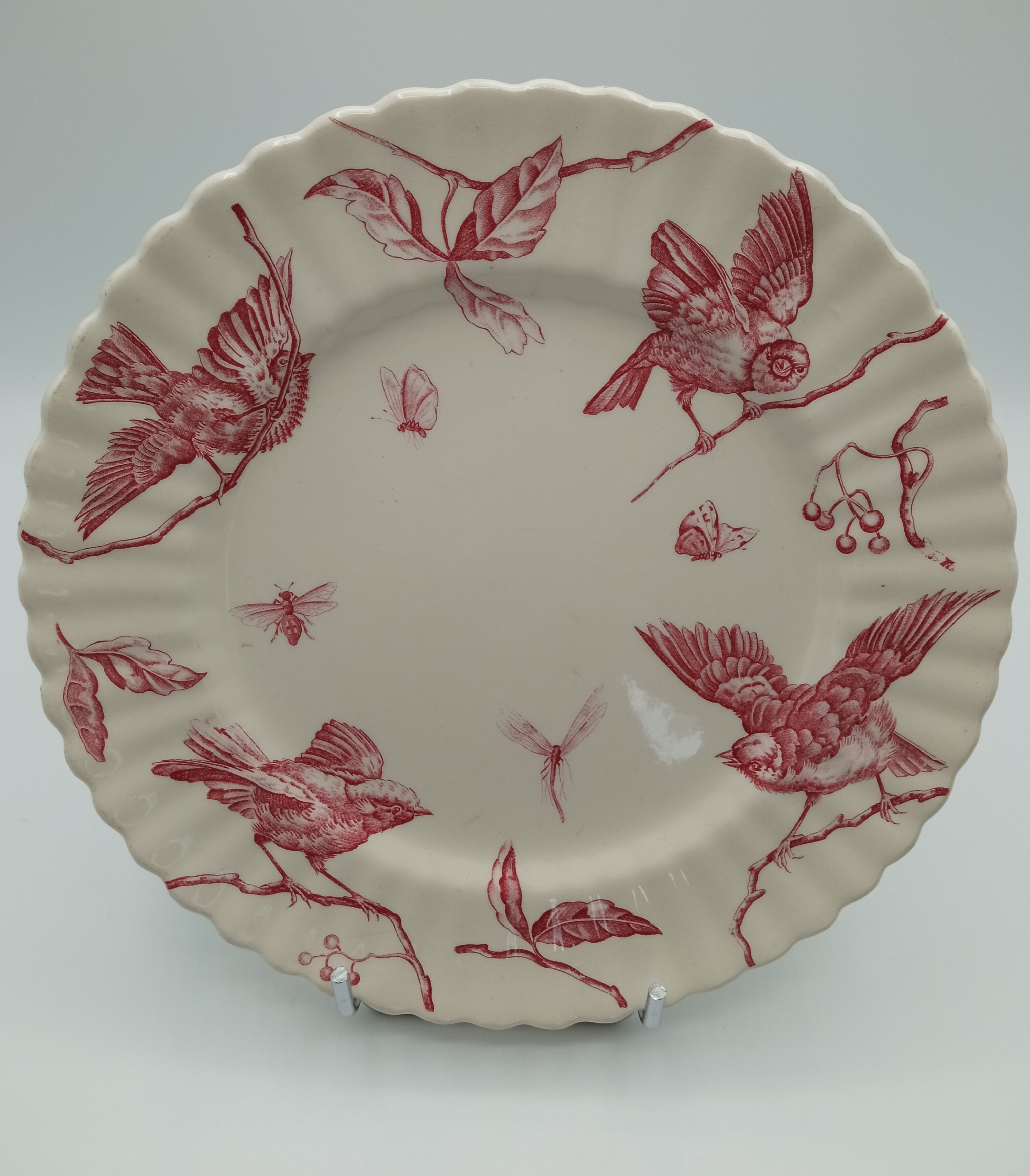 Longchamp earthenware plates