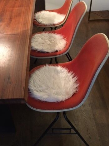 Series of 8 chairs DSS Charles Eames for Herman Miller, 1970