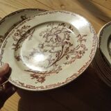 Datura plates iron earth