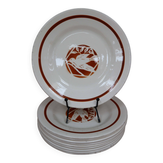 Set of 10 dessert plates iron earth Salins "Colibri" France