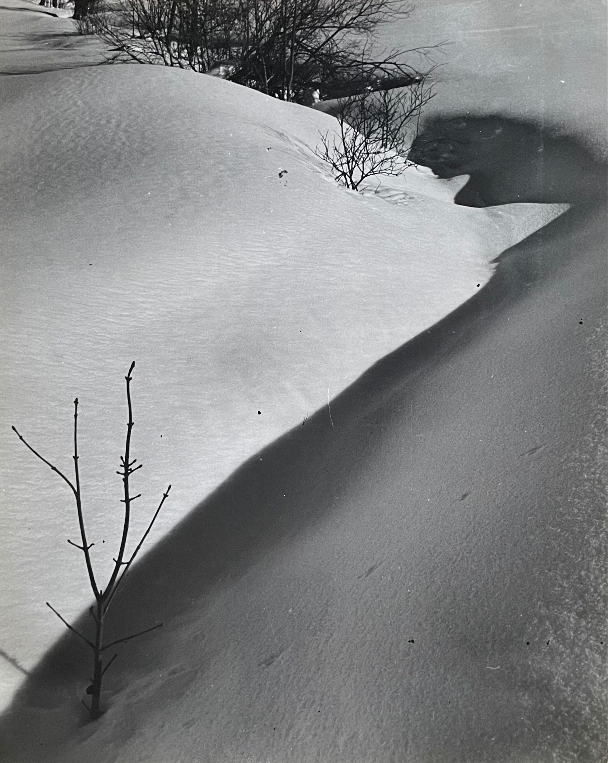 Old black and white silver photography early twentieth century