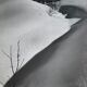 Old black and white silver photography early twentieth century