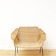 Mid-Century Rattan Lounge Chair