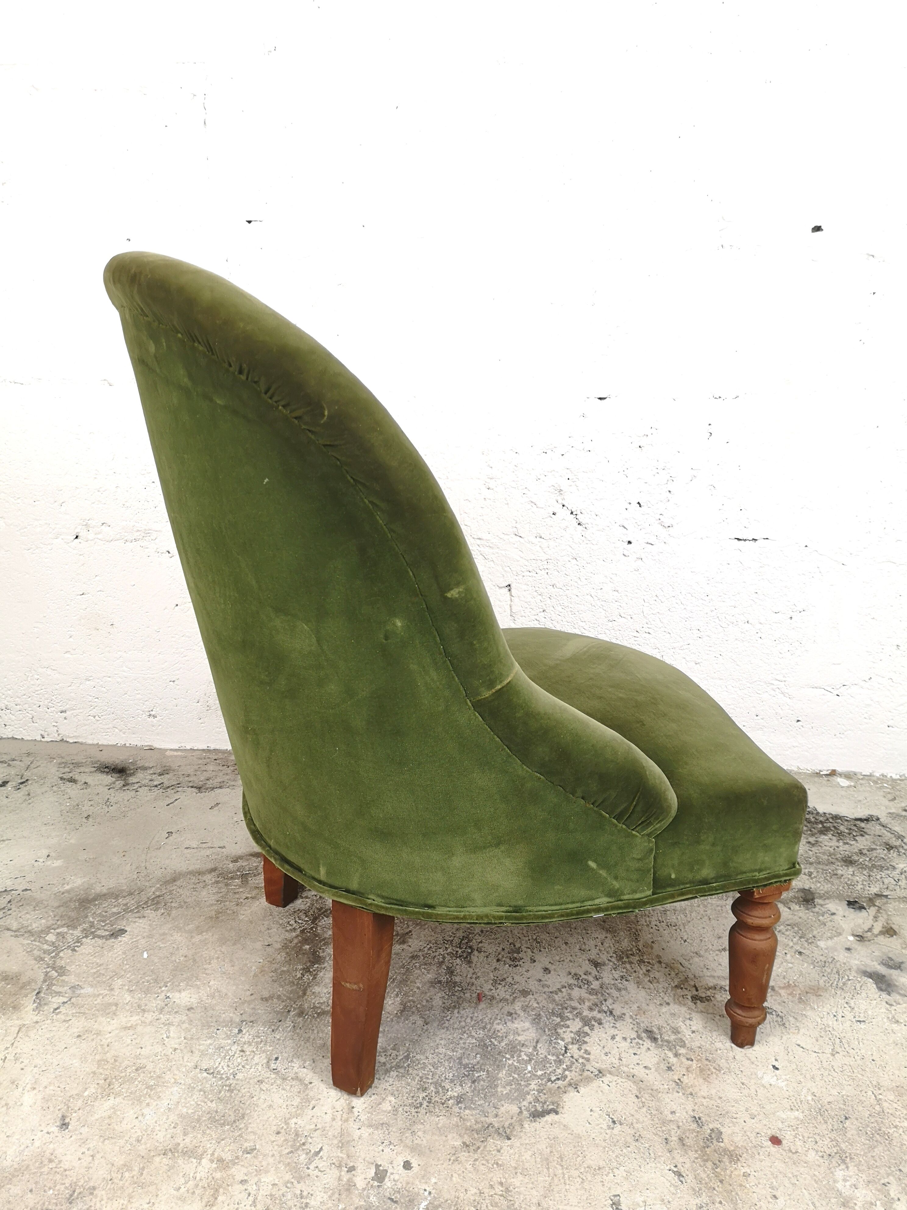 Armchair green toad