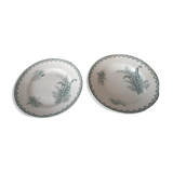 Suite of 2 old plates