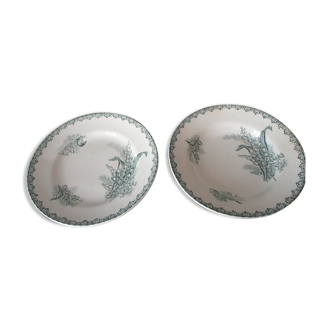 Suite of 2 old plates