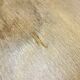 Stella bentwood stool