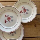 7 antique dinner plates