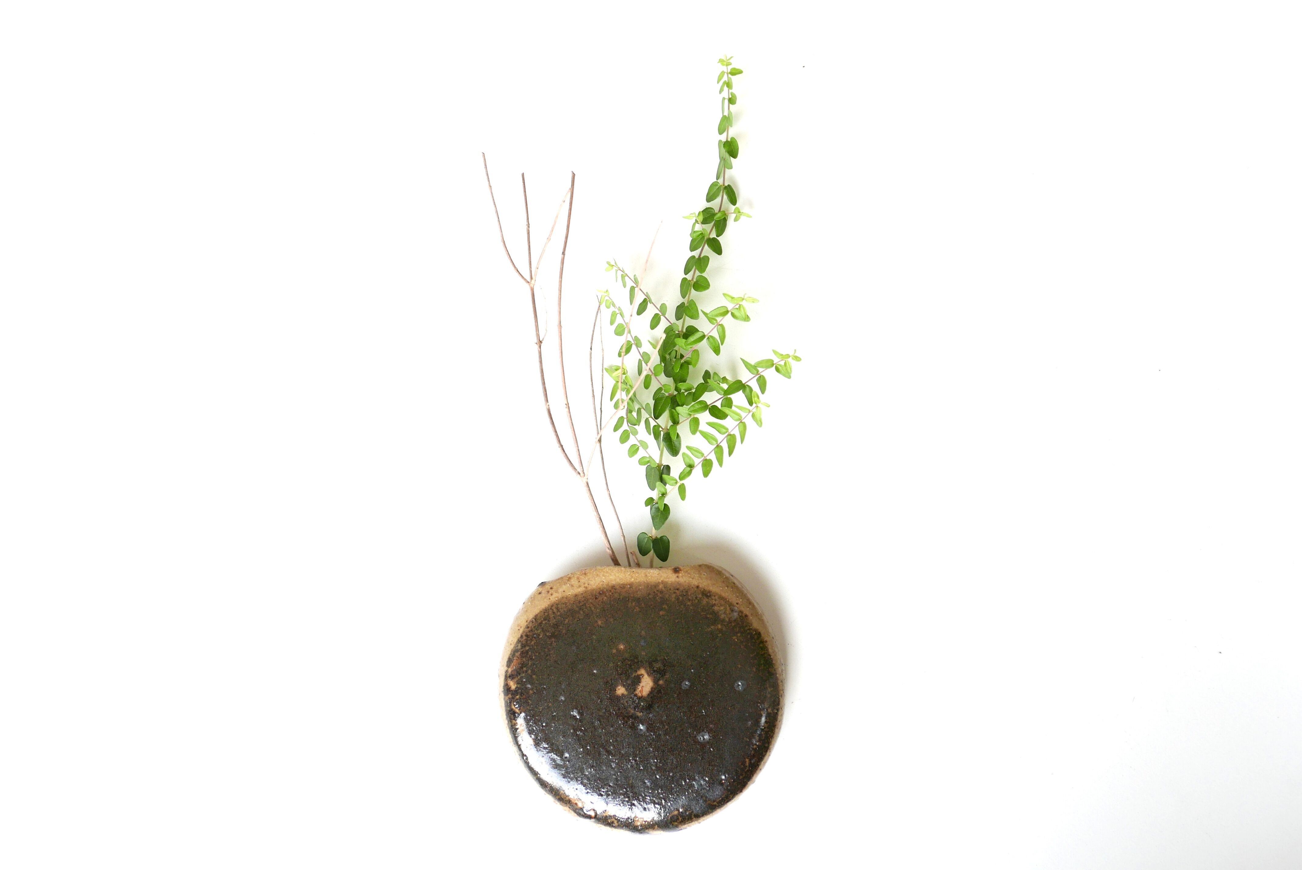 Vase mural "lentille" en céramique, années 50