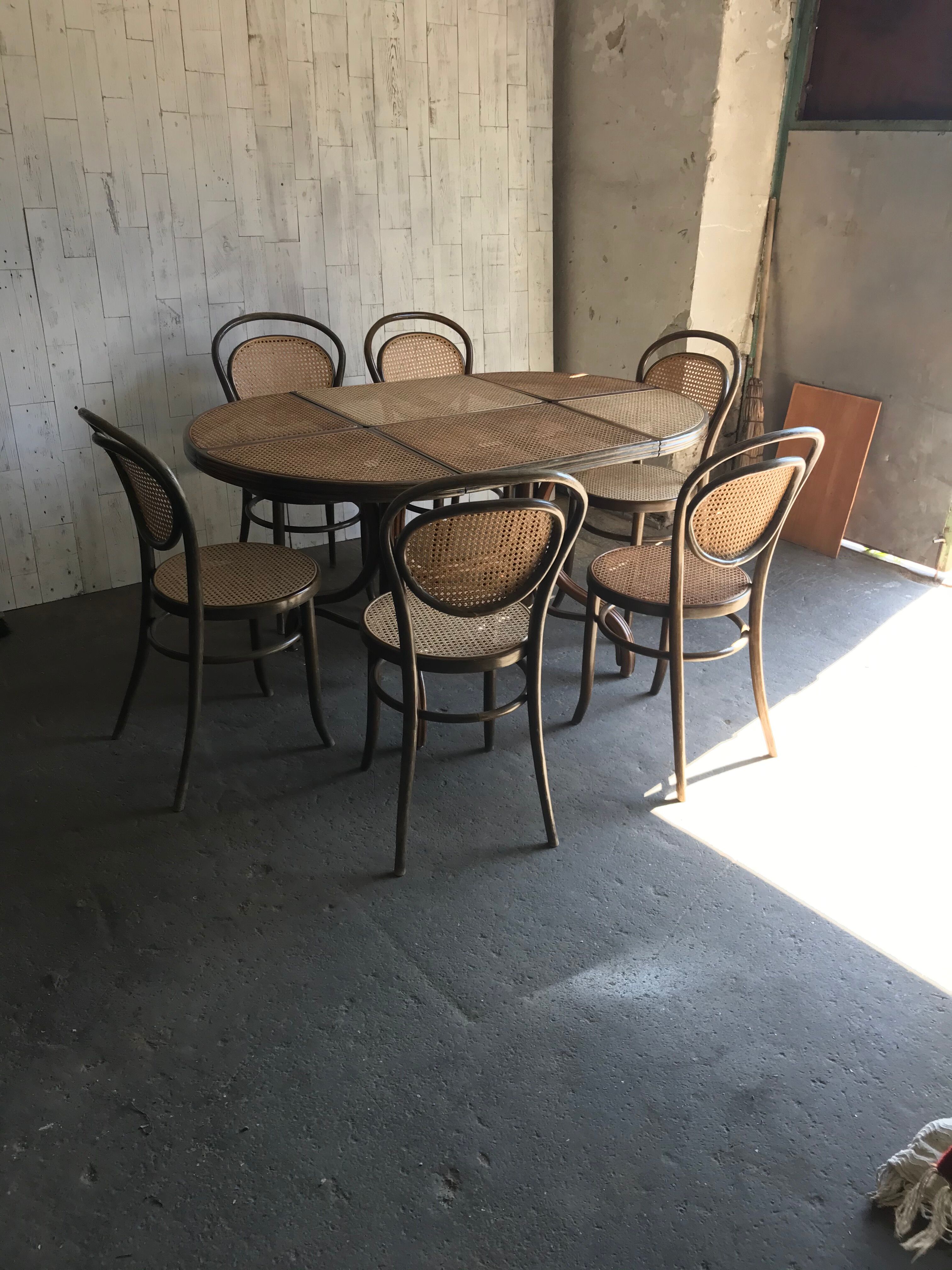 Table à manger ovale avec 6 chaises, Allemagne, années 1970