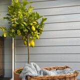 Vintage rectangular wicker and wood