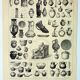 Gravure ancienne 1898, Poterie ancienne, vase, céramique • Lithographie originale et vintage
