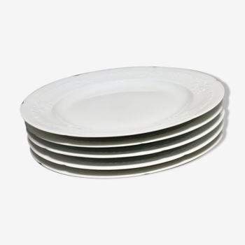 Set de 5 assiettes plates décor lierre sauvage