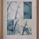 Wall-mounted collage cyanotype photograph