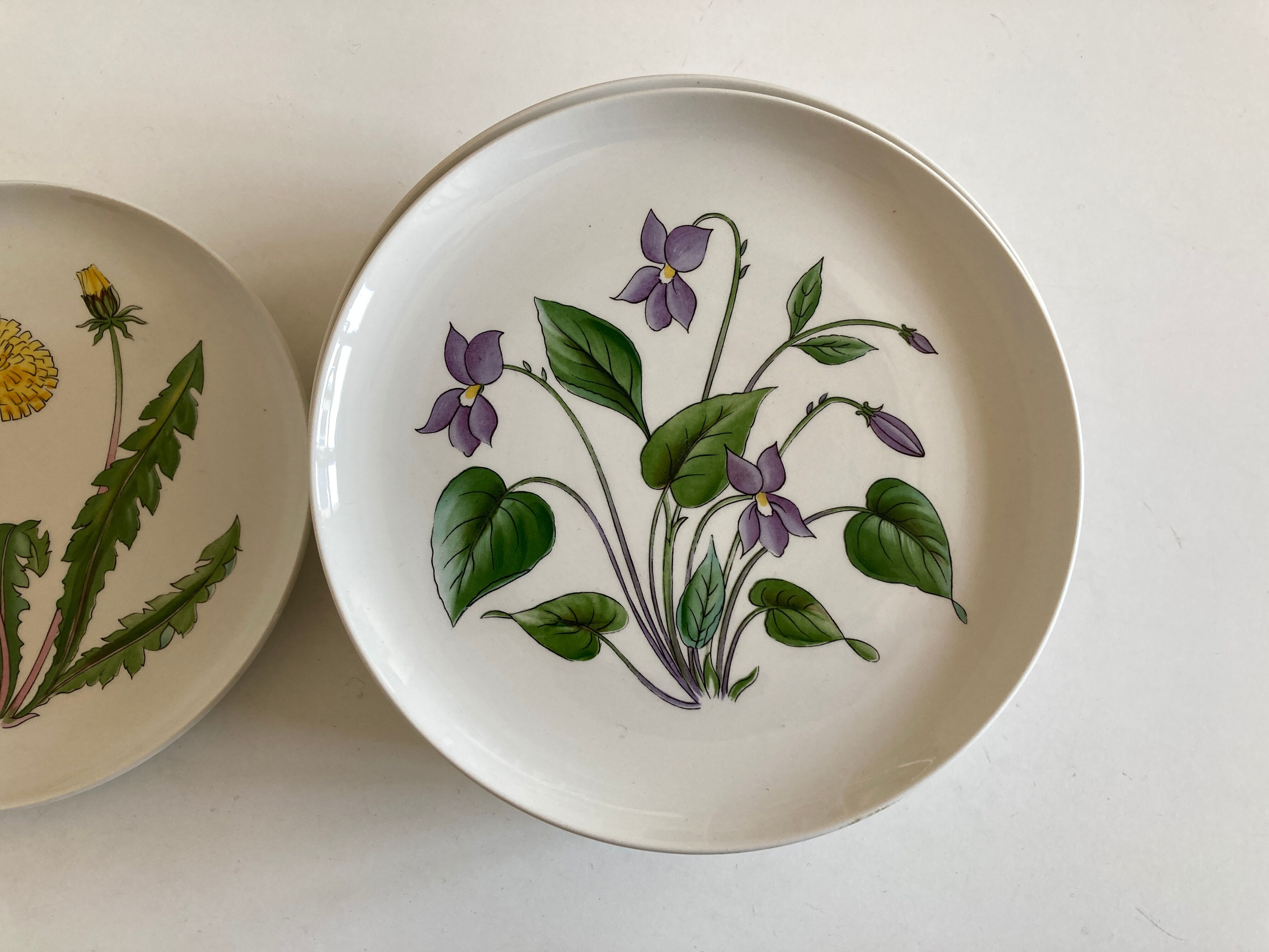 Set 11 assiettes fleurs Rorstrand Sweden Flora 1970