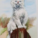 Zoological poster - white angora kitten