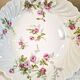 Haviland Limoges porcelain plates