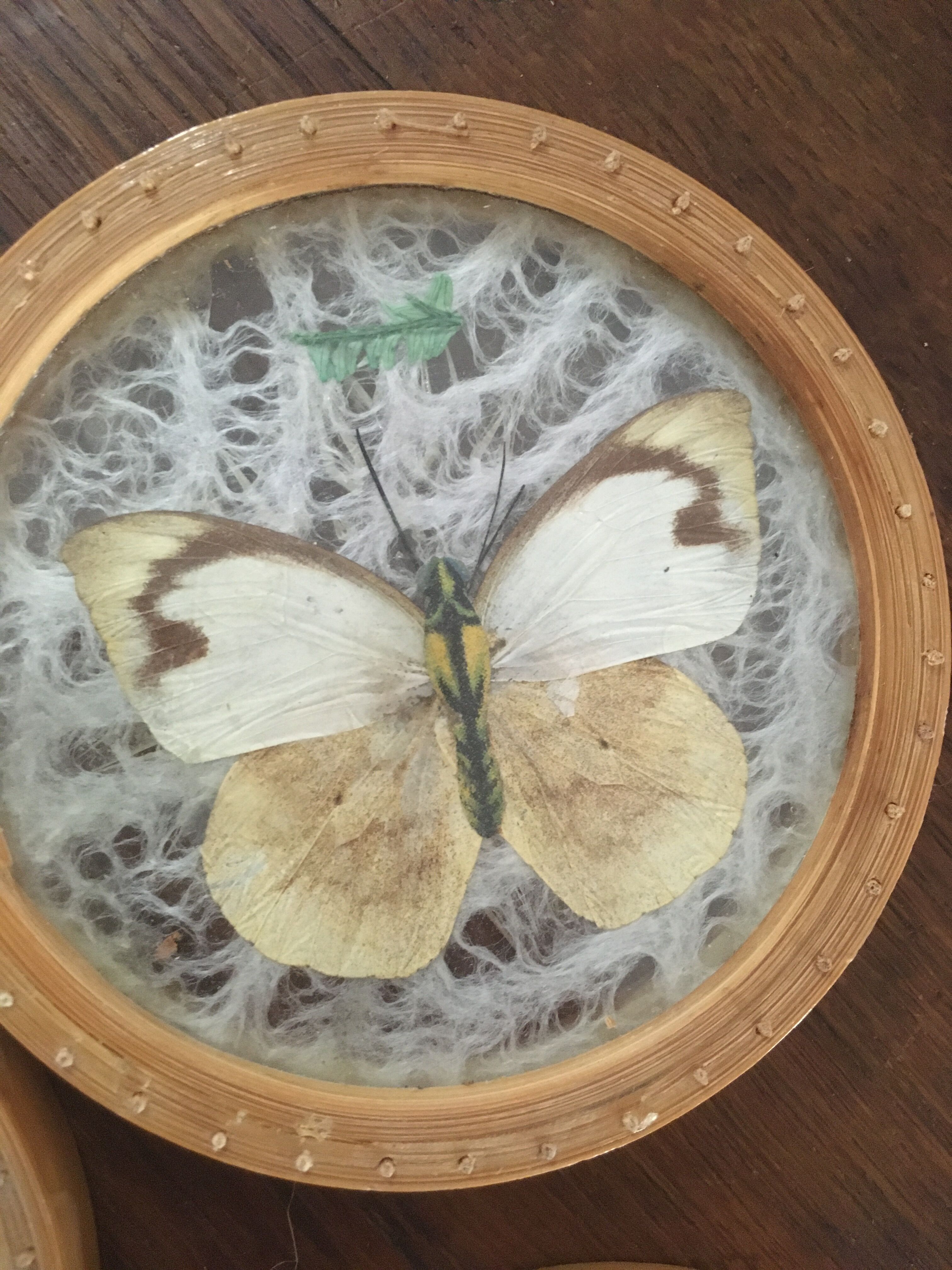 Six vintage butterfly coasters