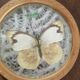 Six vintage butterfly coasters
