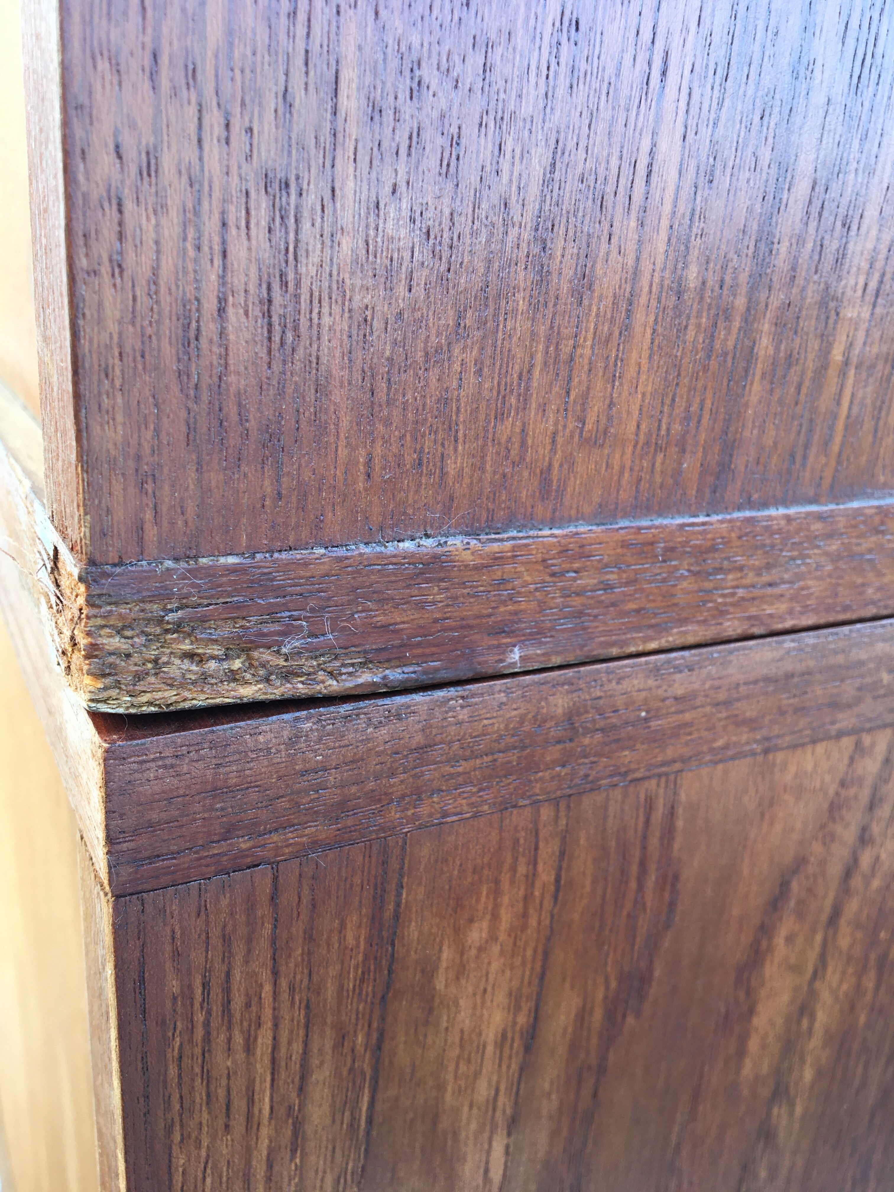 Secretary Philippon and Lecoq