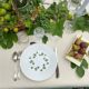 Antique dinner plates Saint Amand Ceranord, Bourrasque