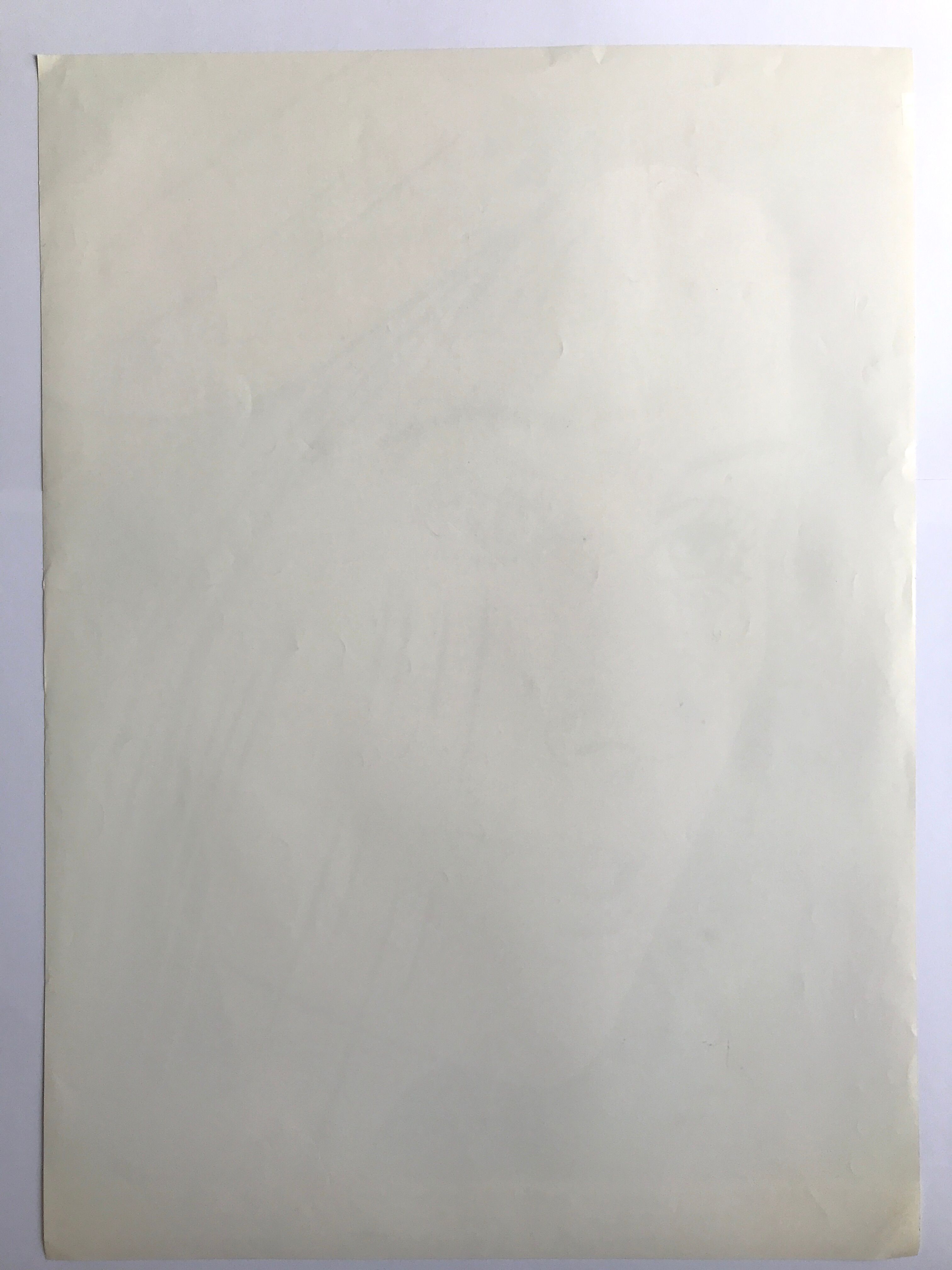 Original lithograph poster by Alex Katz, Galerie Roger d'Amécourt / FIAC, 1977