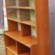 Vintage showcase library