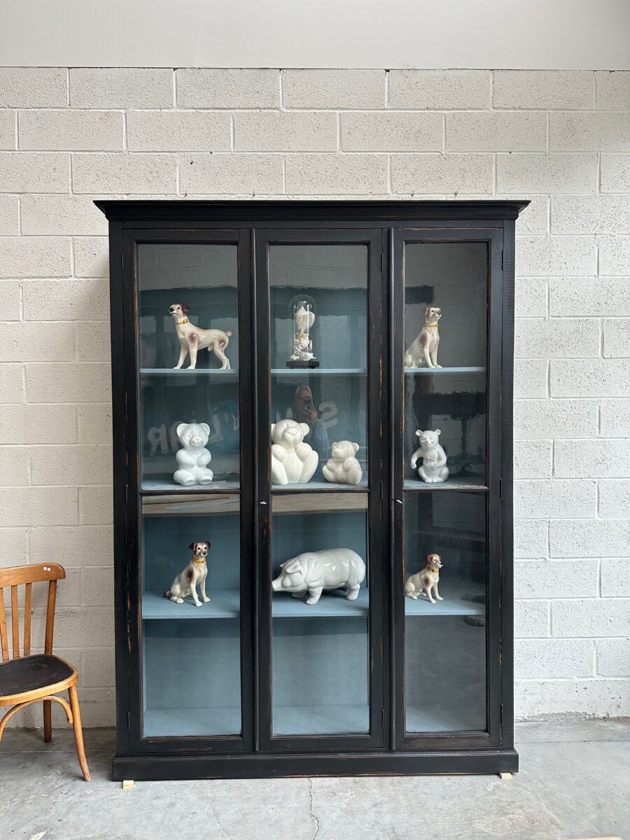 Vitrine de musée fin XIXème