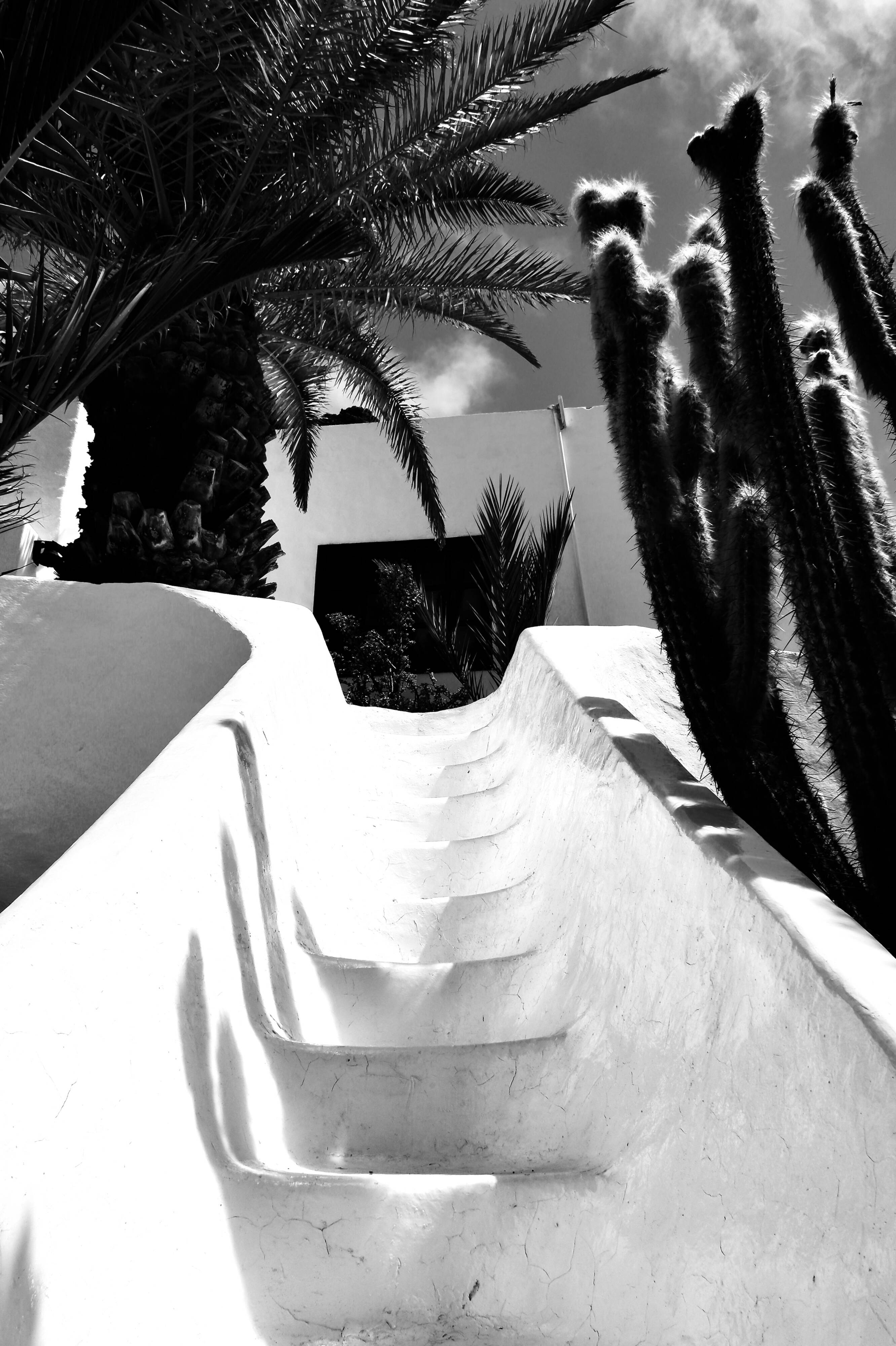 Digital Art Photography - "The White Staircase"